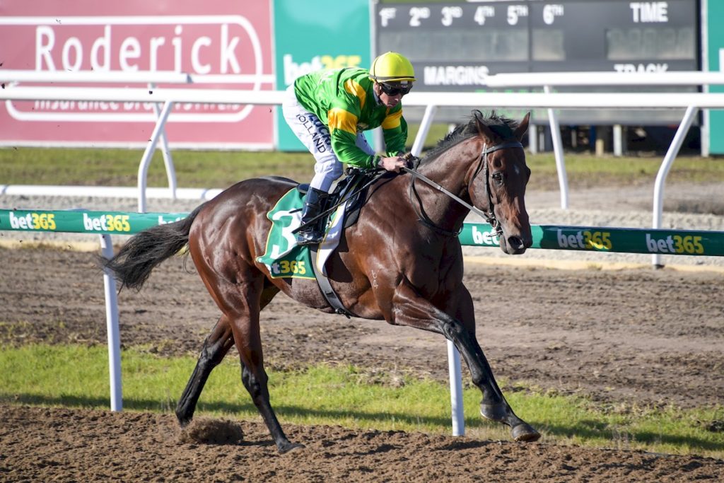 Regal Warrior ridden by Dean Holland