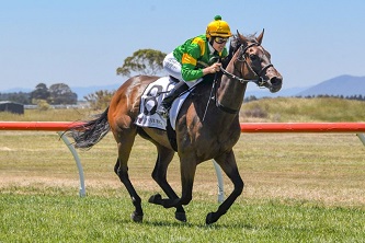 Regal Bloodstock Regal Spirit racehorse