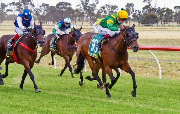 Regal Rossa with a jockey on board