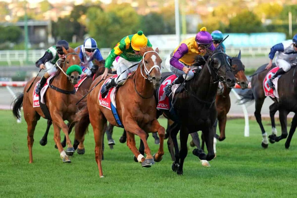 Regal Azmon won the race at The Valley