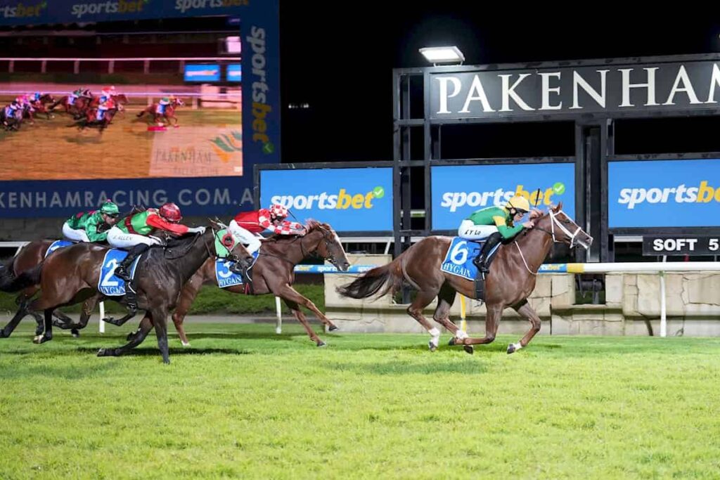 Twin Perfection won the race at Pakenham