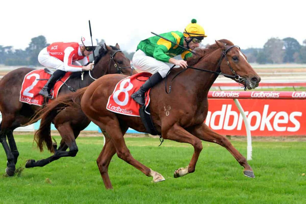 Regal Zeus with Jamie Mott on board at Sale