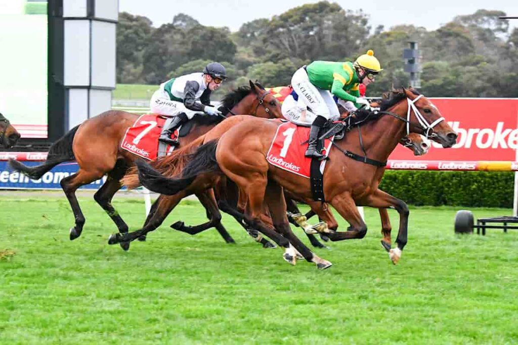 Taramansour with Sheridan Clarke on board