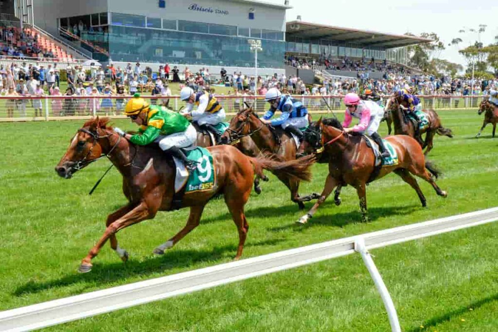 Regal Zeus Dominates the Field at Geelong
