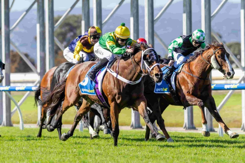 Jenkins wins at Morphettville