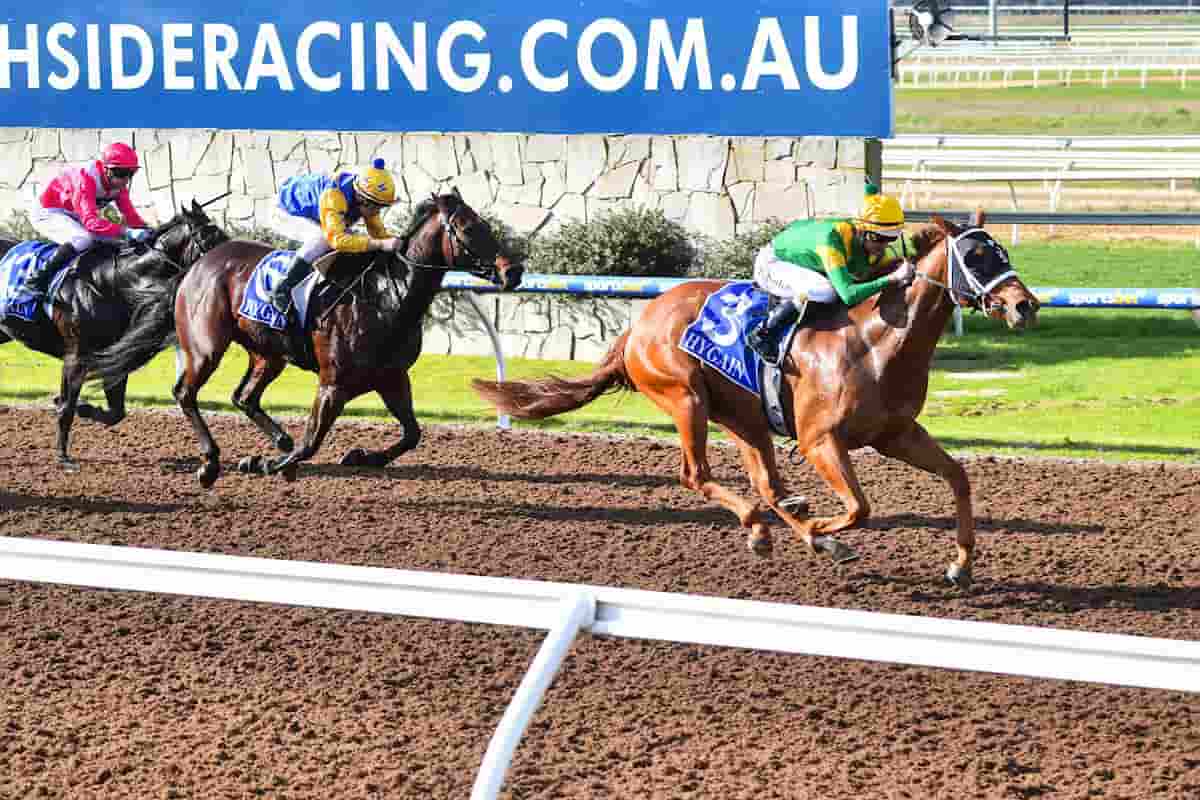 First win of Milo on his debut run at Pakenham