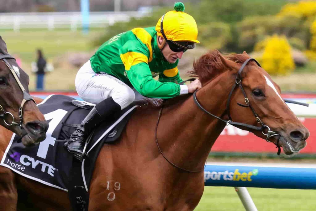 Regal Zeus Dominates on Underwood Stakes Day