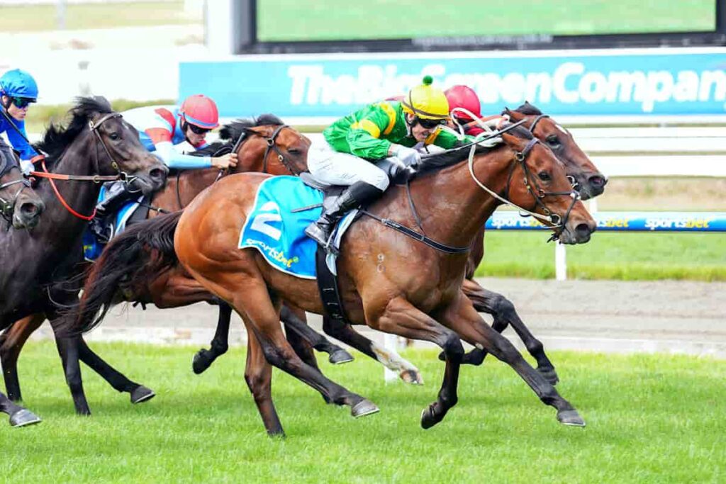 Regal Might win at Mornington