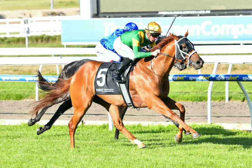 Milo wins at Mornington with Daniel Stackhouse