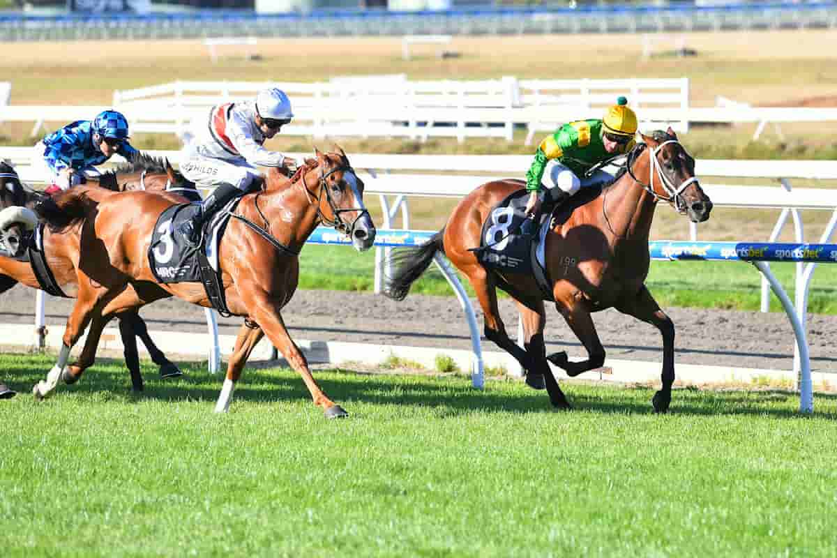 Regal Secret wins at Mornington