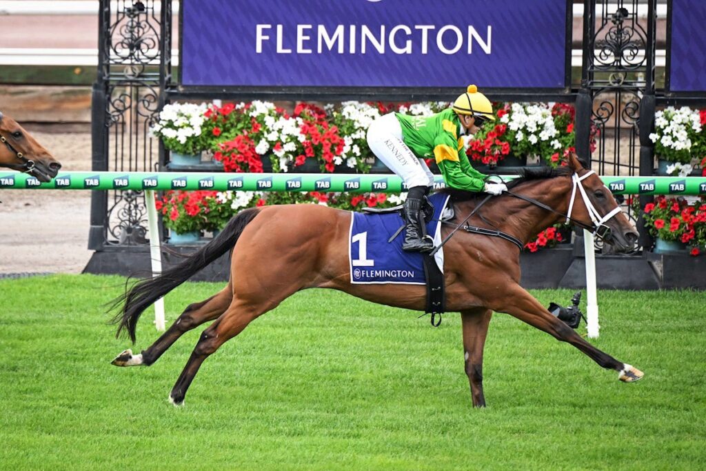 Taramansour wins at Flemington