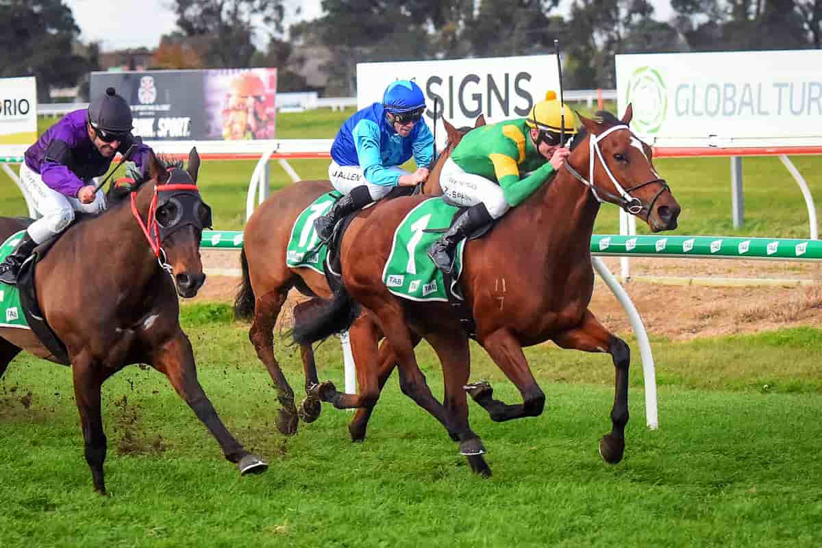 Brave Star Wins at Mount Gambier