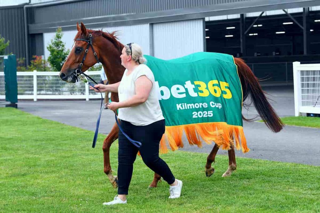 Regal Zeus Wins at Kilmore