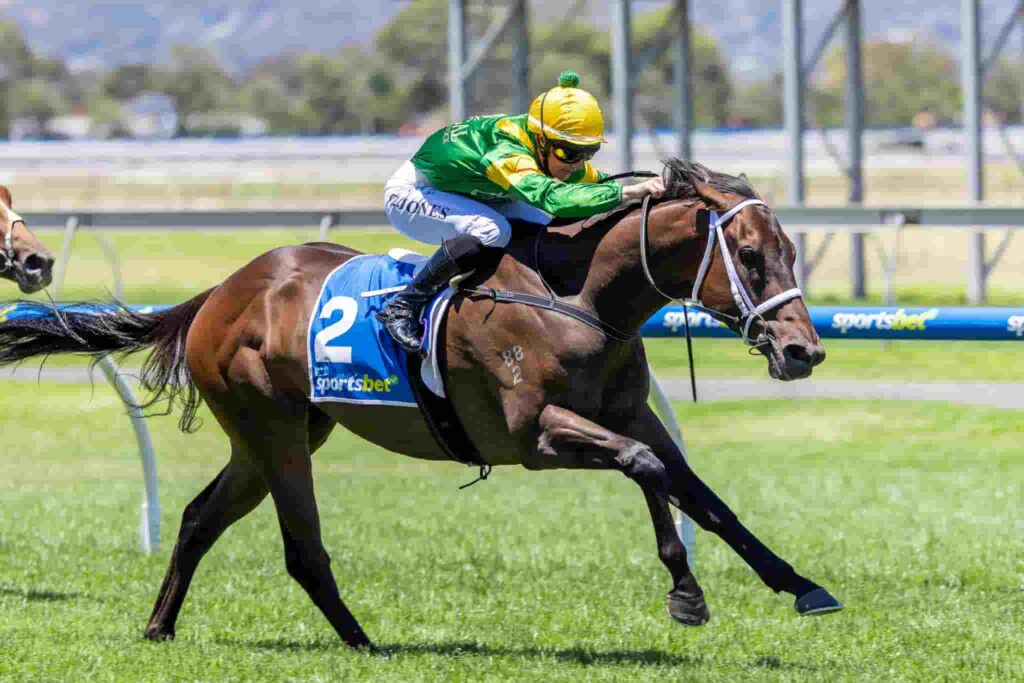 Regal Ripper wins at Morphettville