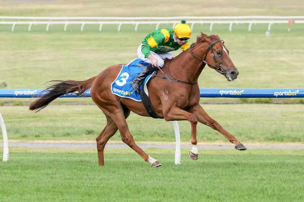 Regal Zeus Wins the Lord Stakes