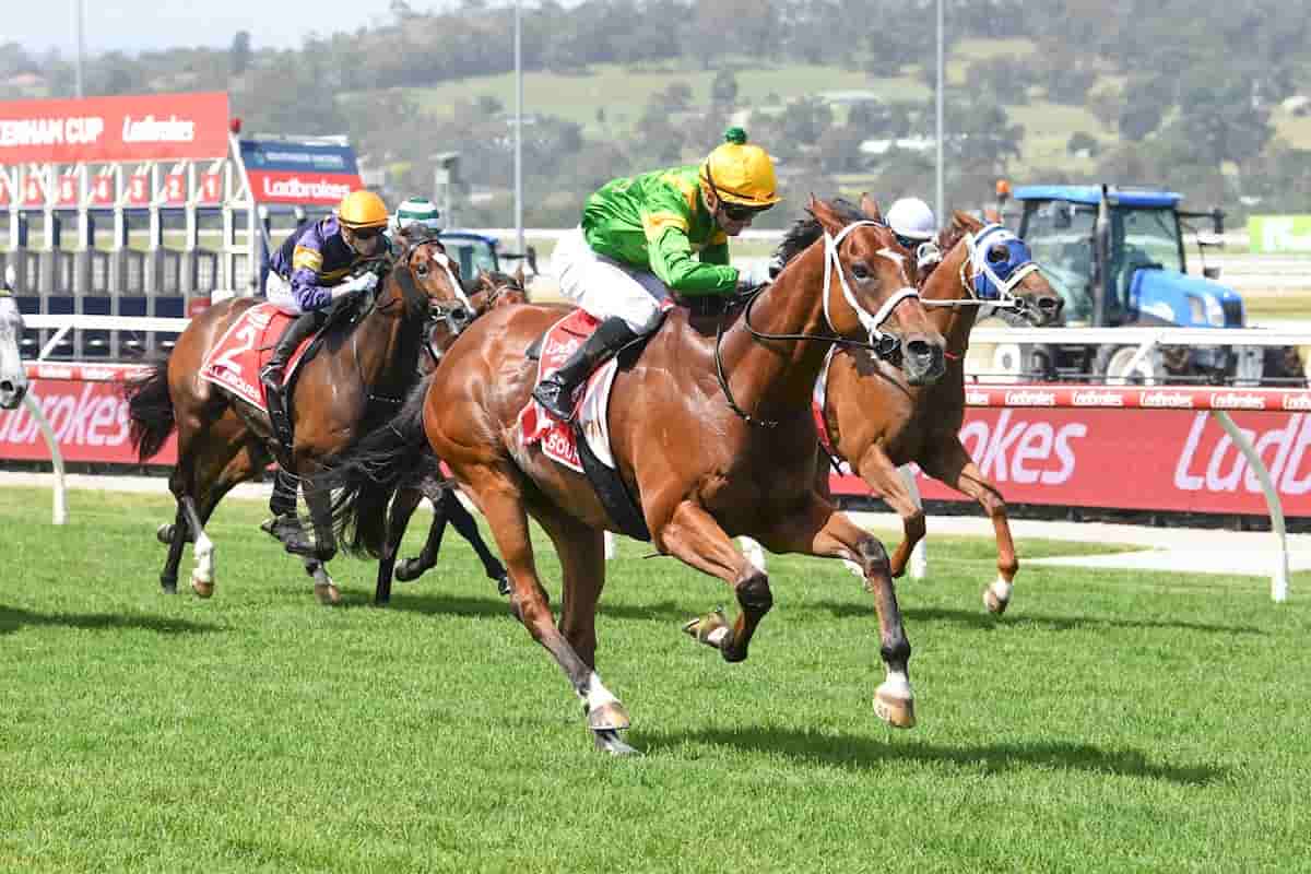 Taramansour Wins the Pakenham cup