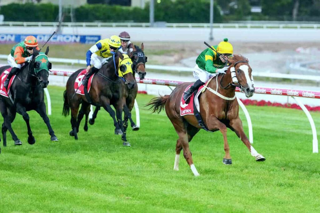 Regal Tycoon wins at Southside Cranbourne
