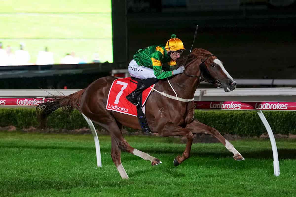 Regal Tycoon Wins at Cranbourne