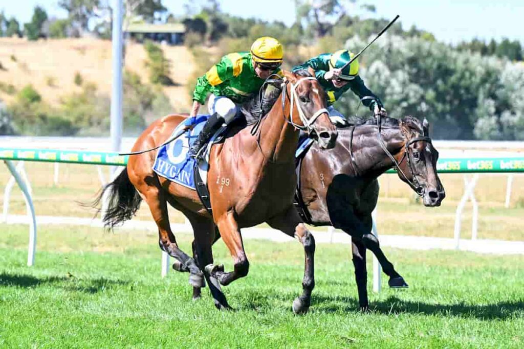 Regal Secret Wins at Park Kyneton