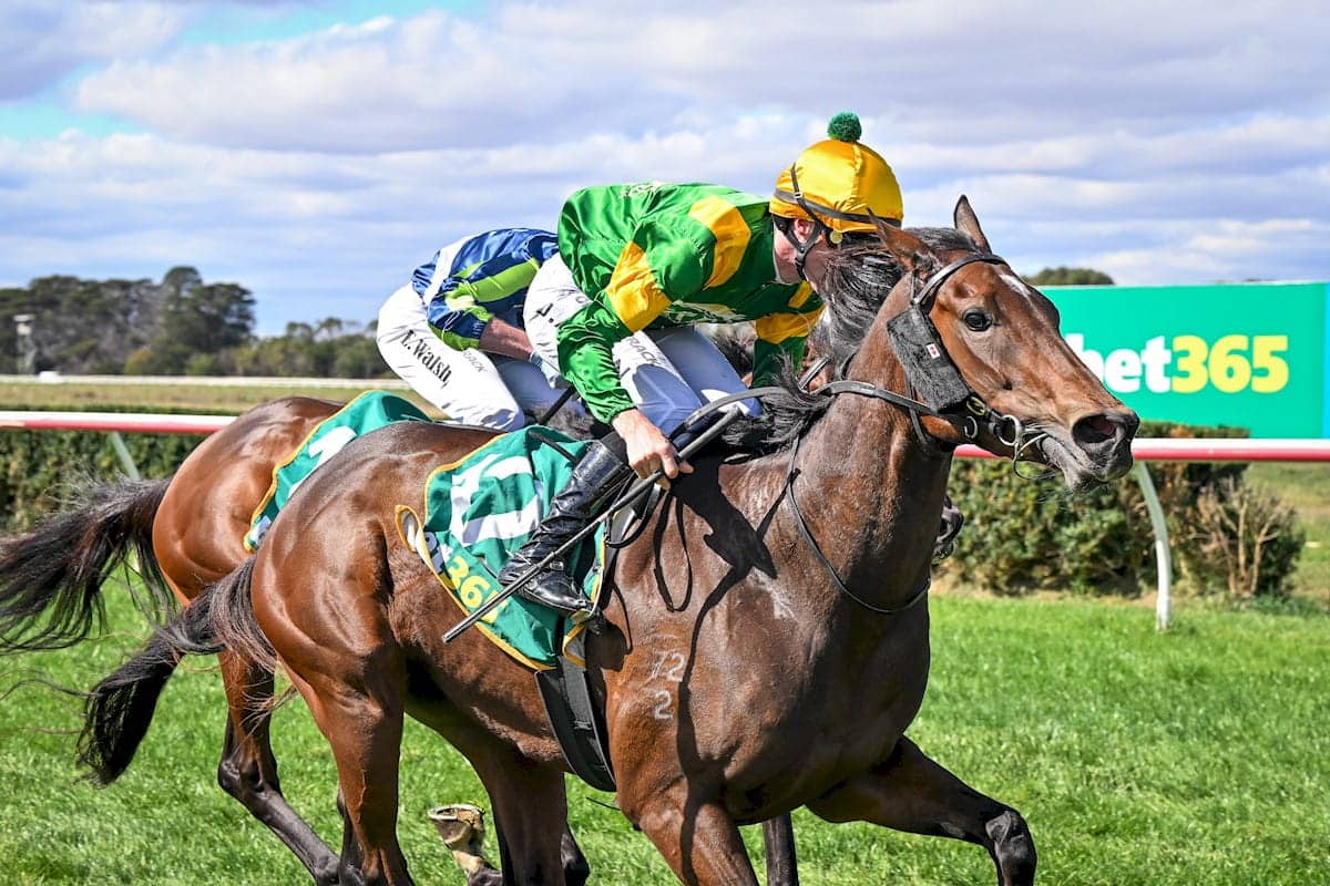 Regal Ascend Wins at Terang