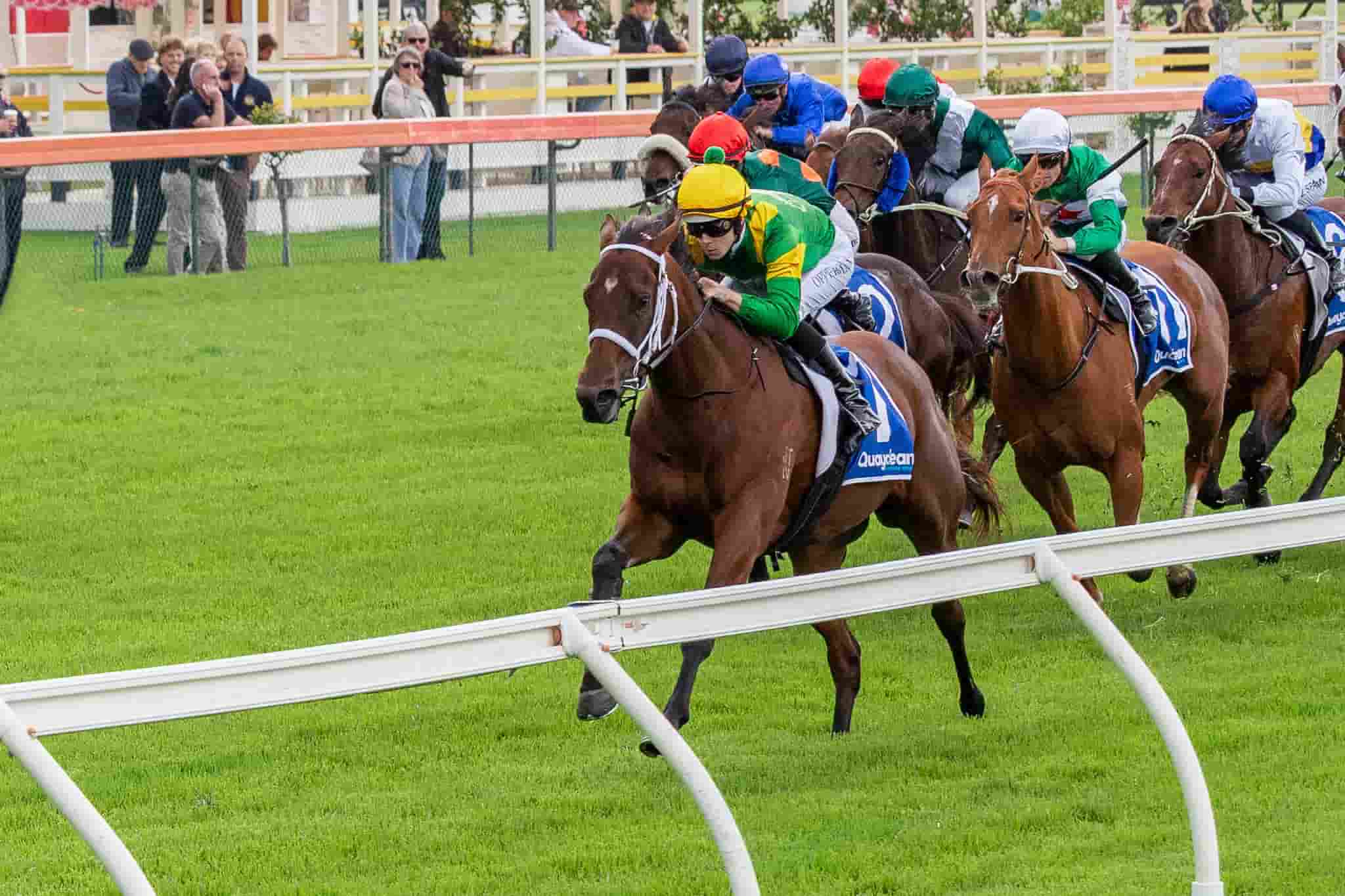 Regal Secret wins at Morphettville