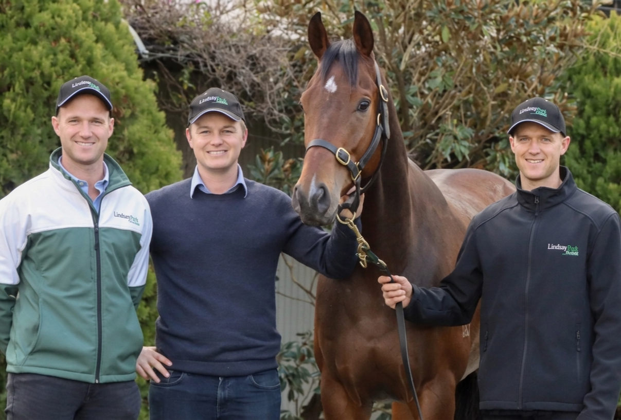 Ben, Will & JD Hayes