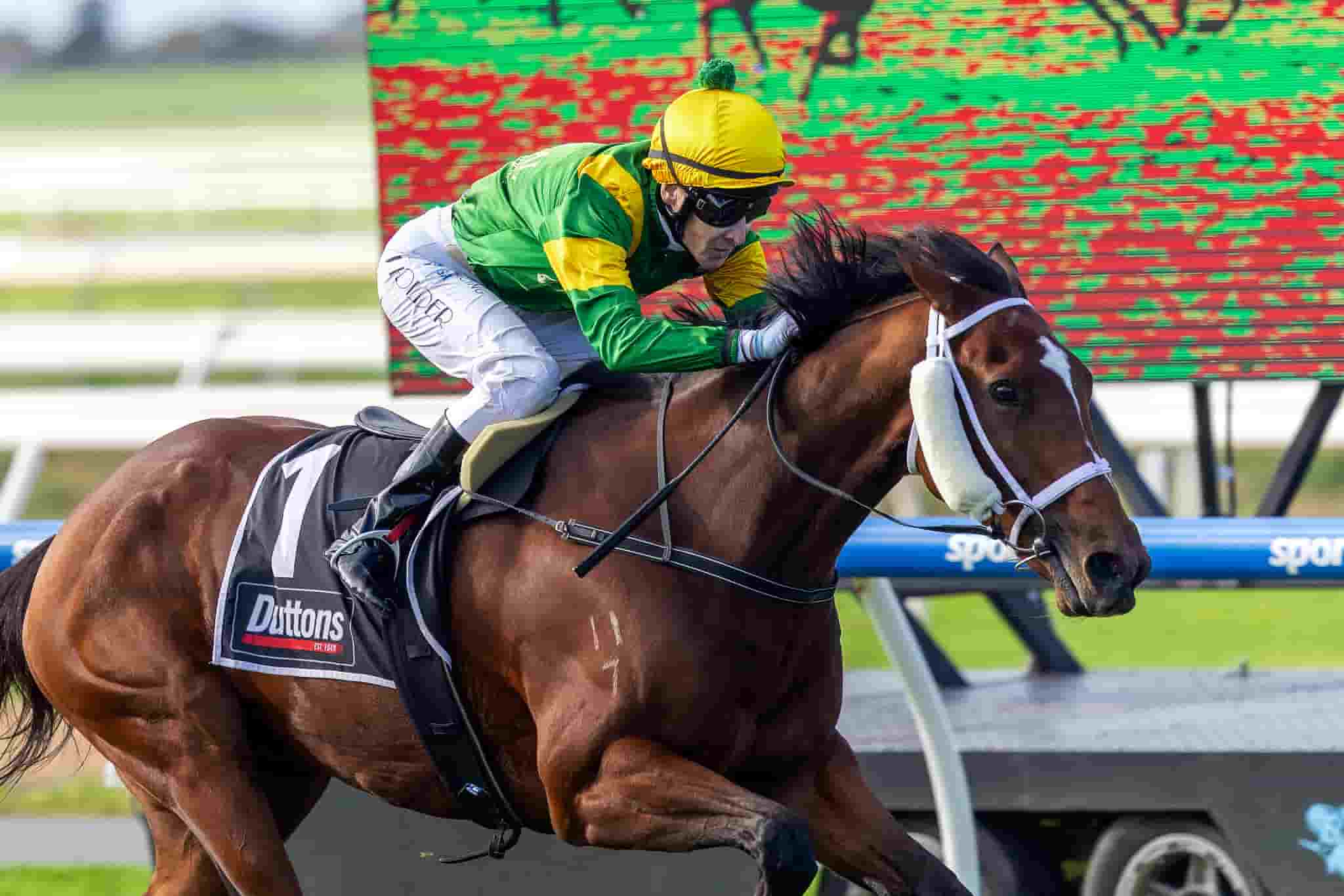 Brave Star wins at Murray Bridge