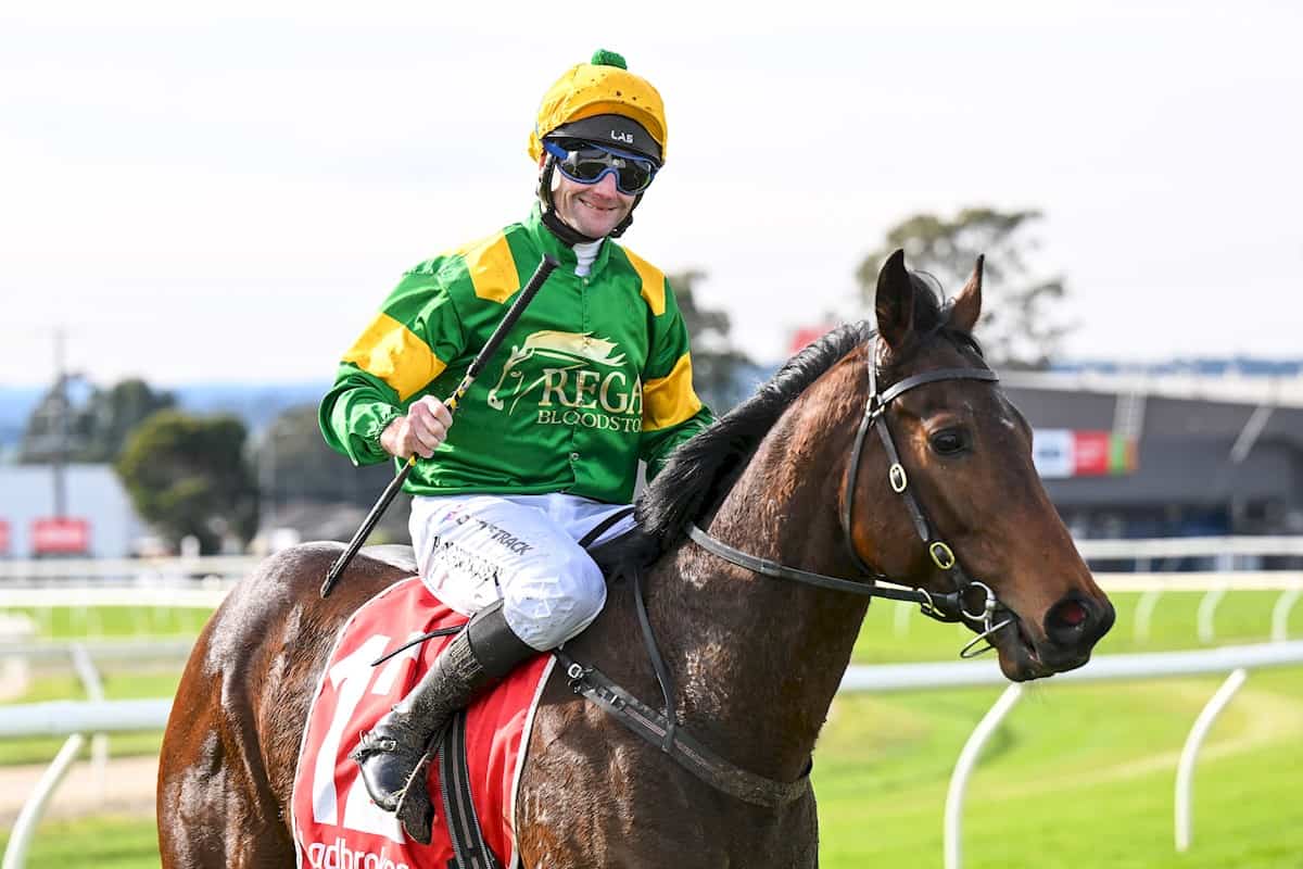 Regal Vanguard Wins at Moe