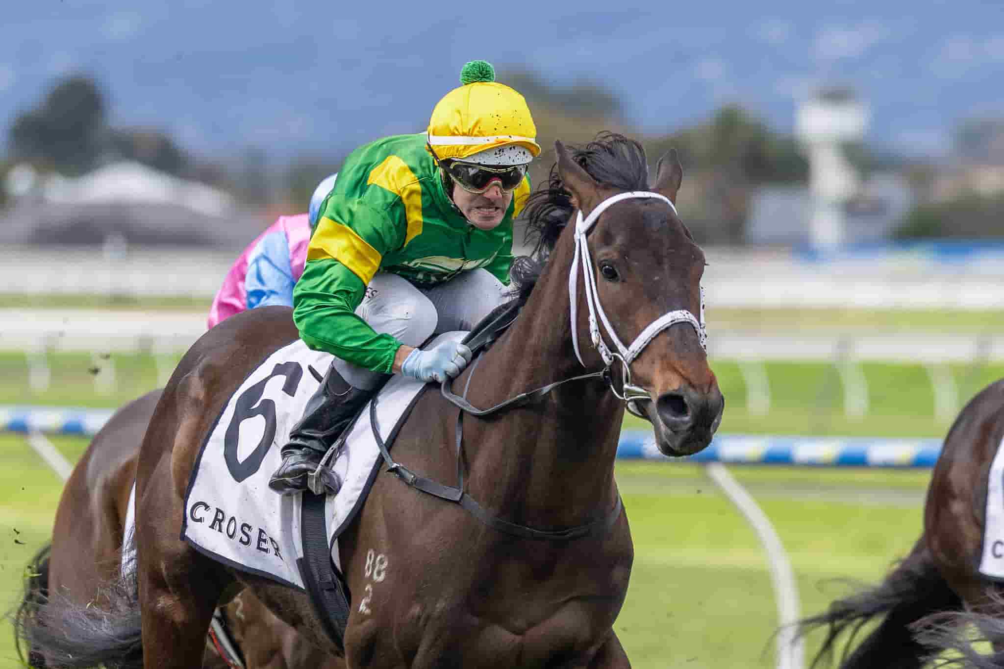 Regal Ripper wins at Morphettville