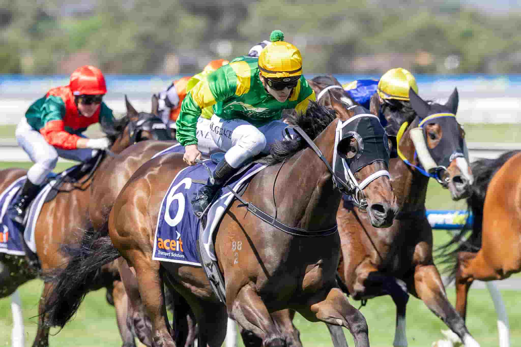Regal Ripper wins at Morphettville