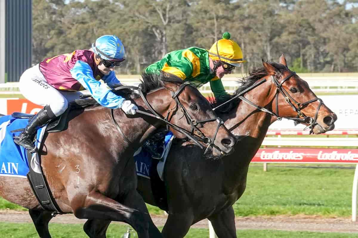Regal Might Wins at Bendigo